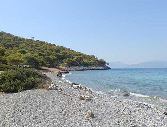 Η ΠΑΡΑΛΙΑ ΤΗΣ ΔΡΑΓΩΝΕΡΑΣ